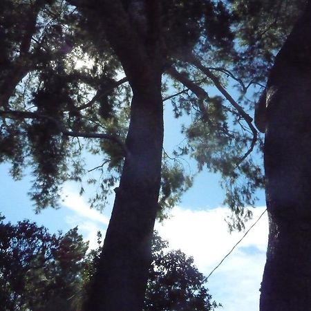 Woodland Hills Calabasas Guesthouses Los Angeles Eksteriør bilde
