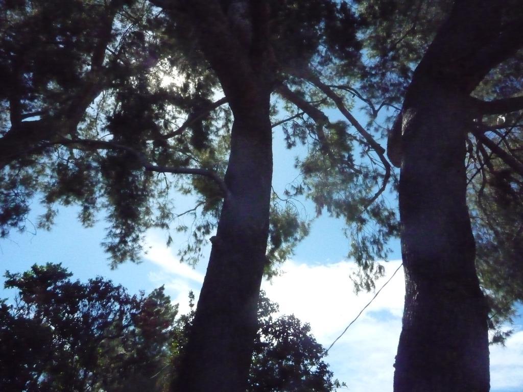Woodland Hills Calabasas Guesthouses Los Angeles Eksteriør bilde